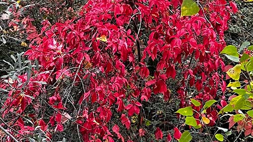 Servicios - Acompañamiento de adolescentes